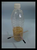 Plastic Bottle Bird Feeders