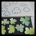 Saint Patrick's Day Shamrocks Matching Game