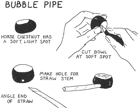 How To Make Chestnut Bubble Pipes Craft For Kids Blowing Bubbles