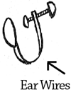 Ear Wires