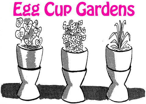 Egg Cup Gardens