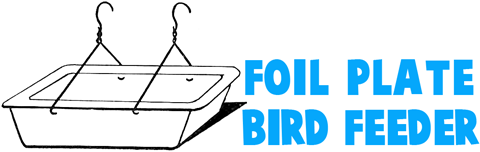 Foil Plate and Hanger Bird Feeders