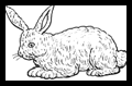 Furry Bunny Rabbits