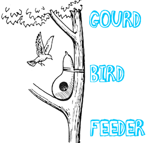Gourd Bird Feeders