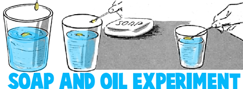 Oil and Soap Experiment
