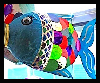 Soda Bottle Rainbow Fish
