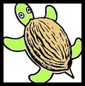 Turtle Paperweights