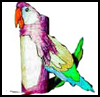 Parrot
  Toilet Paper Roll Craft