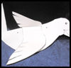 3D

  Dove