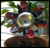 Soda
  Can Flowers
