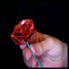 Soda
  Can Rose