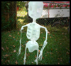 Recycled

  Jug Skeleton