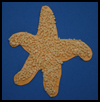 Kids
  Starfish Craft  : Fish in the Ocean Crafts