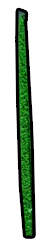 Get a green pipe cleaner or a rolled up piece of construction paper and Glue this to the bottom of the flower. This is the stem.