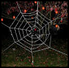 Spider
  Web  : Halloween Spider Web Crafts for Kids
