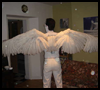 How to make a pair of Angel Wings