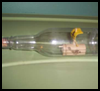 Ship in a Bottle Crafts Instructions for Teens and Kids