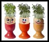 Cress Egg Heads Easter Craft Activity for Children