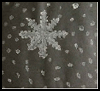 Snowflakes Paper Cutting Crafts for Kids