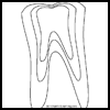 Styrofoam
  Tooth  : Teeth and Tooth Fairy Crafts Ideas for Kids