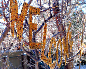 <strong>Feeding
Wild Birds  : Winter Solstice Crafts Ideas for Kids</strong>