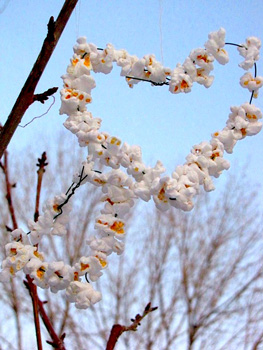 <B>Feed
the Birds  : Winter Solstice Crafts Ideas for Kids</B>