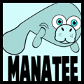 How to Draw Cartoon Manatees