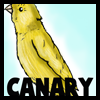 How to Draw a Canary