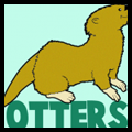 How to Draw Otters