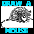 Draw a Mouse