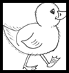 Cartooning Baby Chicks