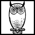 How to Draw Owls