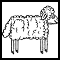 How to Draw Cartoon Sheep