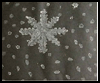 Salt
  Crystal Snowflakes  : Salt Crafts Ideas for Kids