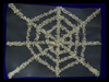 Spiderweb
  Rice Art