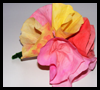 Filter
  Paper Bouquet