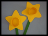 Paper
  Daffodils