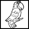 How to Draw Cartoon Parrots