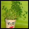 Grow
  a Leprechauns   : Styrofoam Cup Crafts for Kids