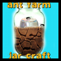 How to Make an Ant Farm Jar and Watch an Ant Colony Build Mazes