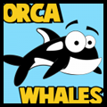 How to Draw Orca Whales