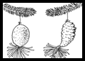 Pinecone Christmas Decorations