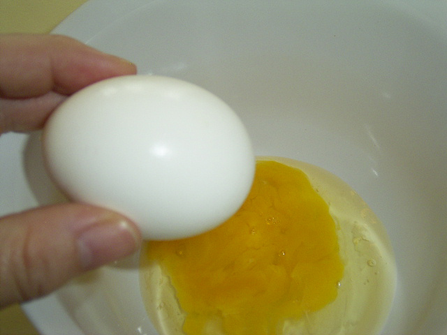 blown-egg