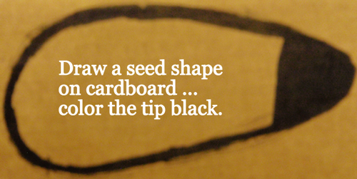 Draw a seed shape on cardboard... color the tip black