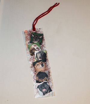 Bookmark Photo Bookmark