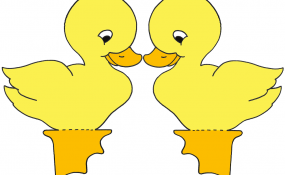 Baby Chick Color Template
