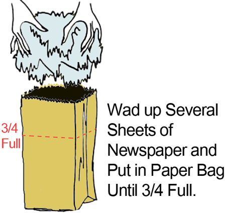 Wad up several sheets of newspaper and put in paper bag until 3/4 full.