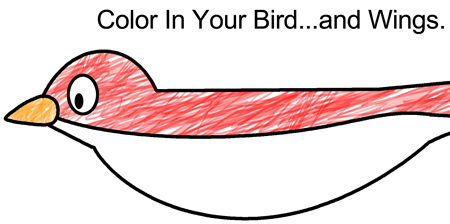 color in your bird and wings
