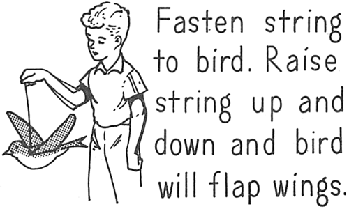 Fasten string to bird.