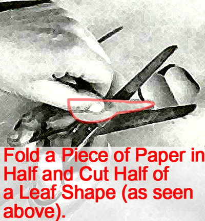 Fold a piece of paper in half and cut half of a leaf shape